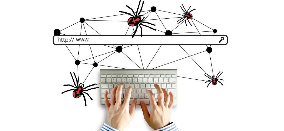 搜索引擎通過蜘蛛程序（也稱為爬蟲）將互聯網上的網站內容進行抓取和收集
