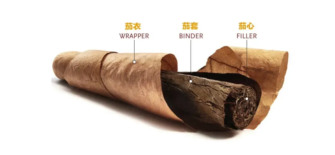 雪茄的組成 :茄衣 (Wrapper)、茄套 (Binder)、茄心 (Filler)。