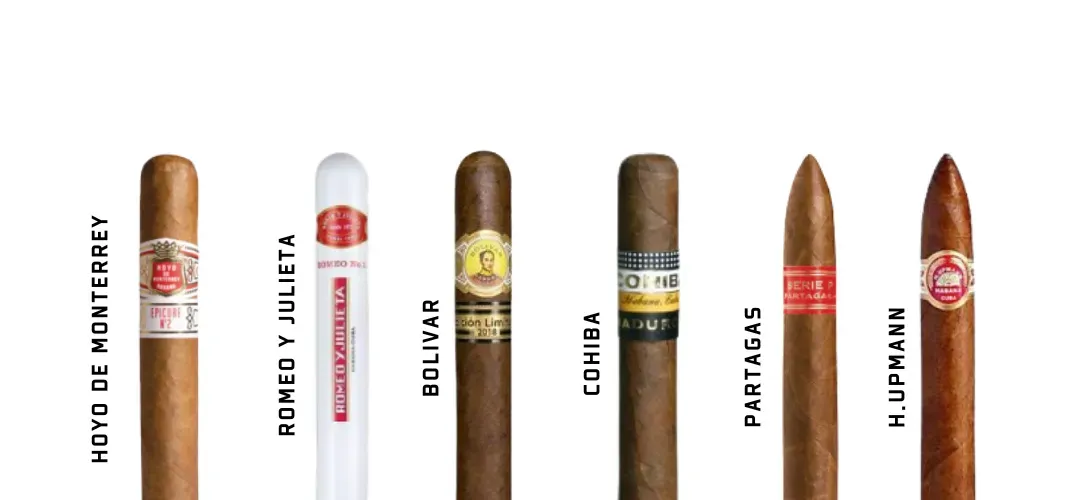 古巴雪茄-六大知名廠牌